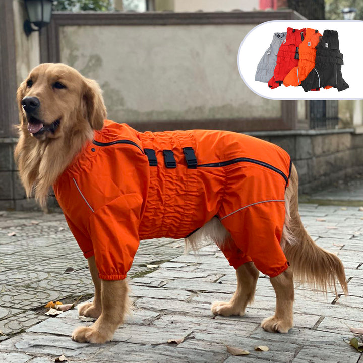 Golden retriever wearing a bright orange raincoat, showcasing pet clothing keyword generator for accessories.