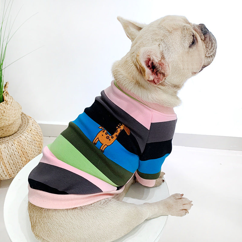 A French Bulldog wearing plush thickened rainbow pet clothing with colorful stripes and a giraffe design.