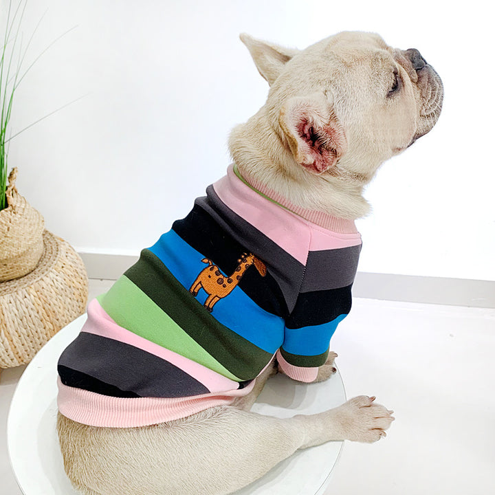 A French Bulldog wearing plush thickened rainbow pet clothing with colorful stripes and a giraffe design.