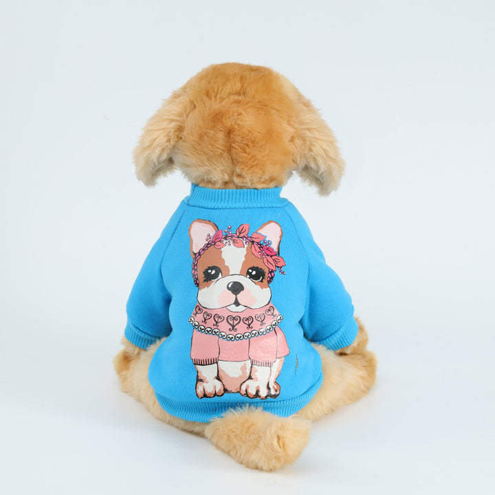 Dog leisure sweaters for pets featuring a cute illustration of a dog on a blue sweater.