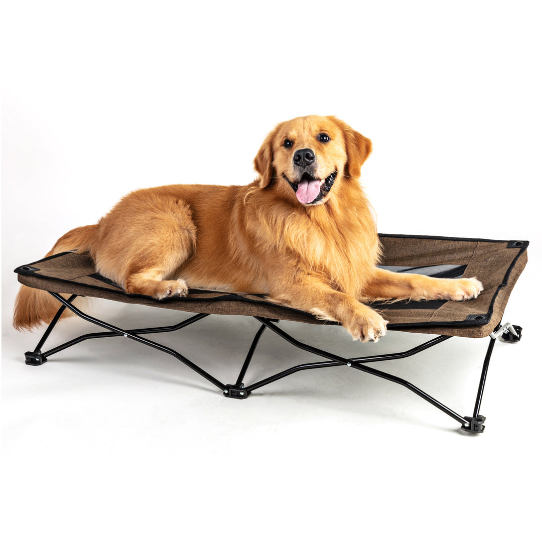Golden retriever resting on a large foldable dog bed, showcasing comfort and portability.