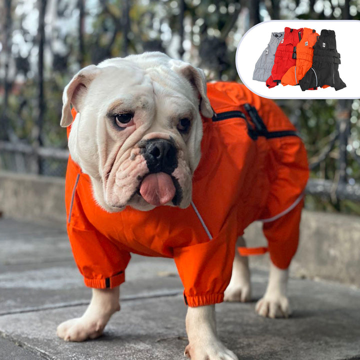 Bulldog wearing orange raincoat showcasing pet clothing keyword generator for stylish pet apparel.