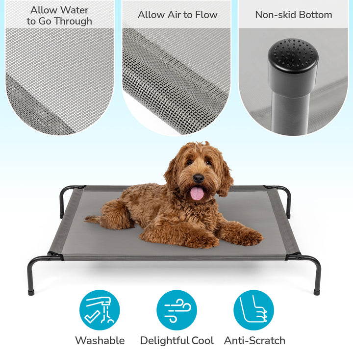 A dog lounging on an elevated cooling dog bed, showcasing its breathable mesh design and non-skid bottom.