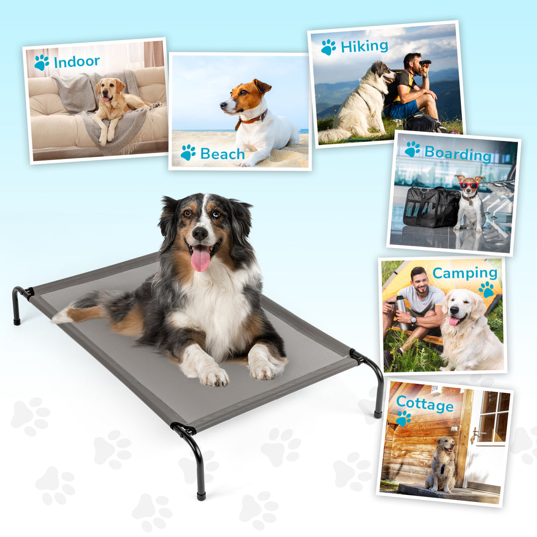 Elevated cooling dog bed with happy dog, showcasing various settings like beach, hiking, and camping.