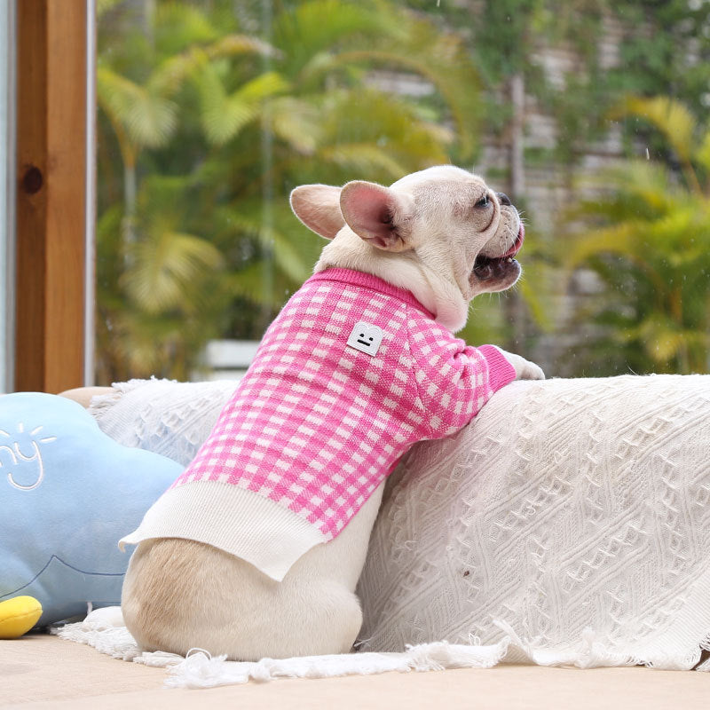 A dog wearing a warm pet sweater in a pink checkered design, sitting by the window for a cozy look.