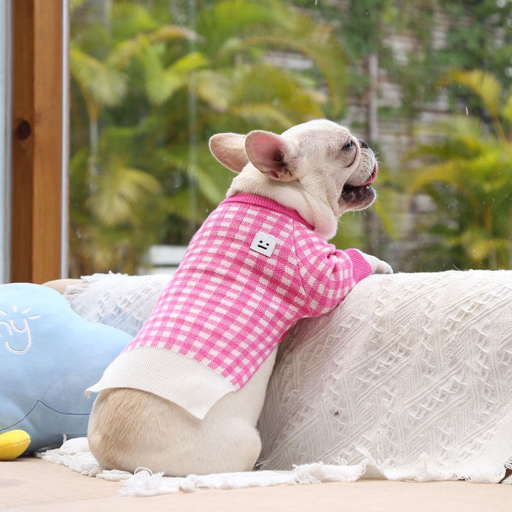 A dog wearing a warm pet sweater in a pink checkered design, sitting by the window for a cozy look.
