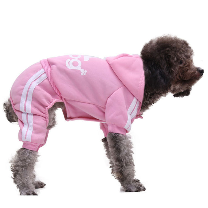 Cute dog wearing a pink autumn winter pet sweater clothing with sporty stripes for chilly weather.