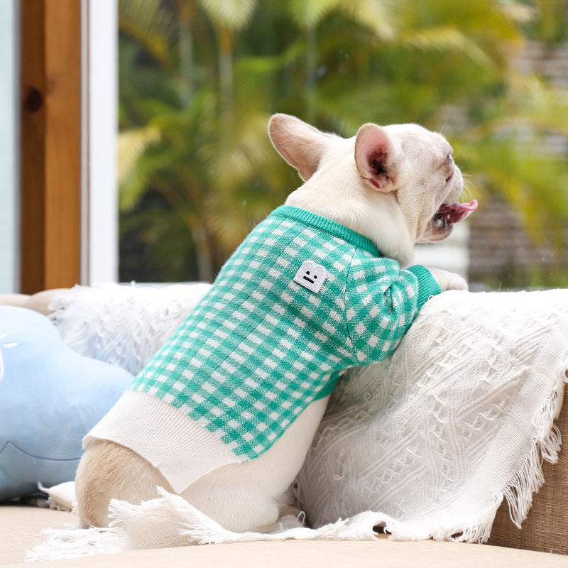A small dog wearing a green checked warm pet sweater sitting on a cozy sofa, showcasing its cheerful design.