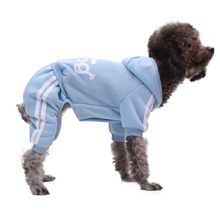 Dog wearing light blue autumn winter pet sweater clothing with sporty stripes and a hood.
