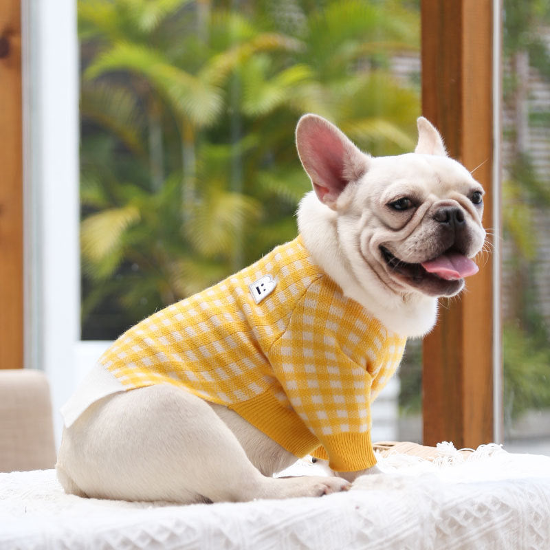 Cute dog wearing a warm pet sweater in yellow gingham design, perfect for colder seasons.