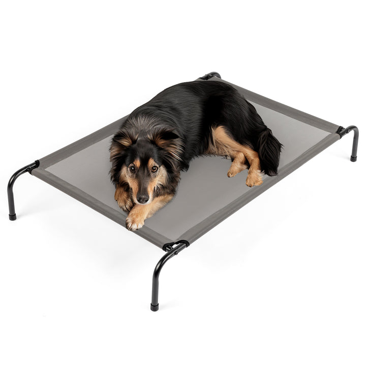 Elevated cooling dog bed with a dog resting comfortably, designed for optimal air circulation and comfort.