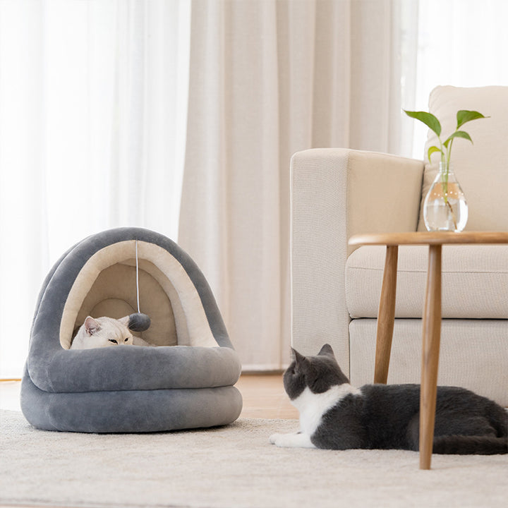 high quality cat house beds with a cat resting inside and a dog sitting nearby in a cozy living room.