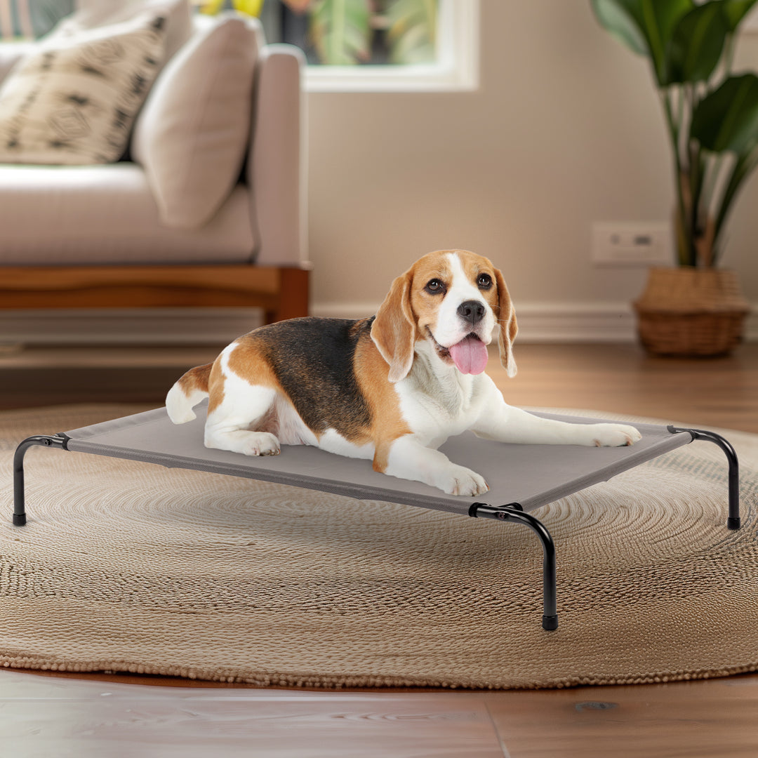 A beagle relaxing on an elevated cooling dog bed, perfect for summer comfort and air circulation.