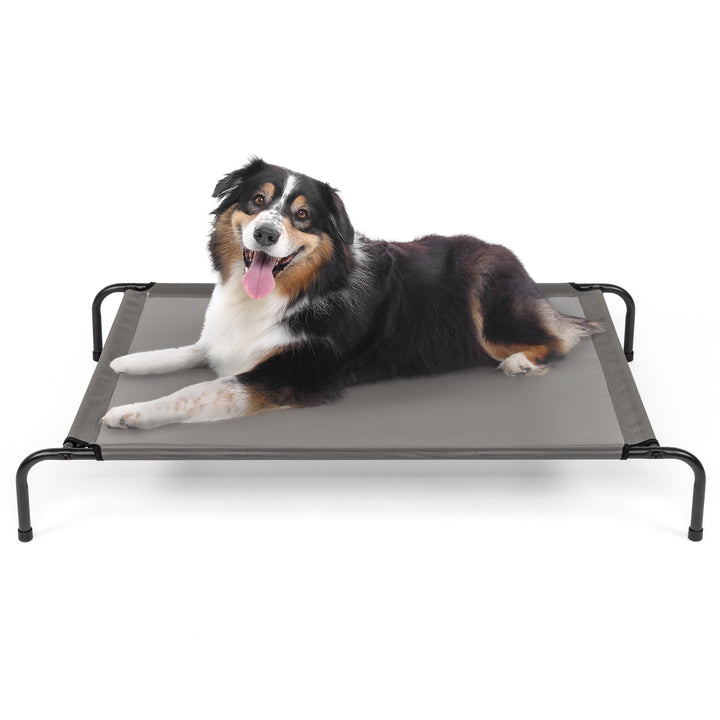 A happy dog resting on an elevated cooling dog bed for comfort and air circulation.
