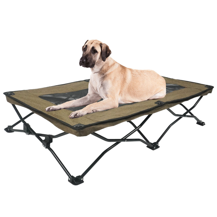 Large foldable dog bed with a tan dog relaxing on it, showcasing comfort and portability.