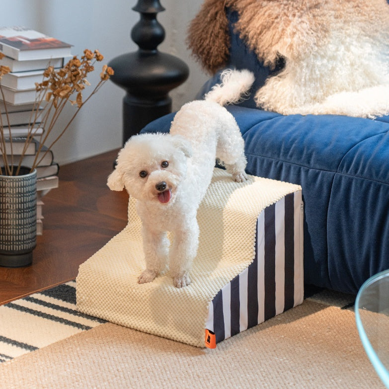 Pet ramp ladder for dogs featuring a fluffy dog climbing on a stylish ramp indoors.
